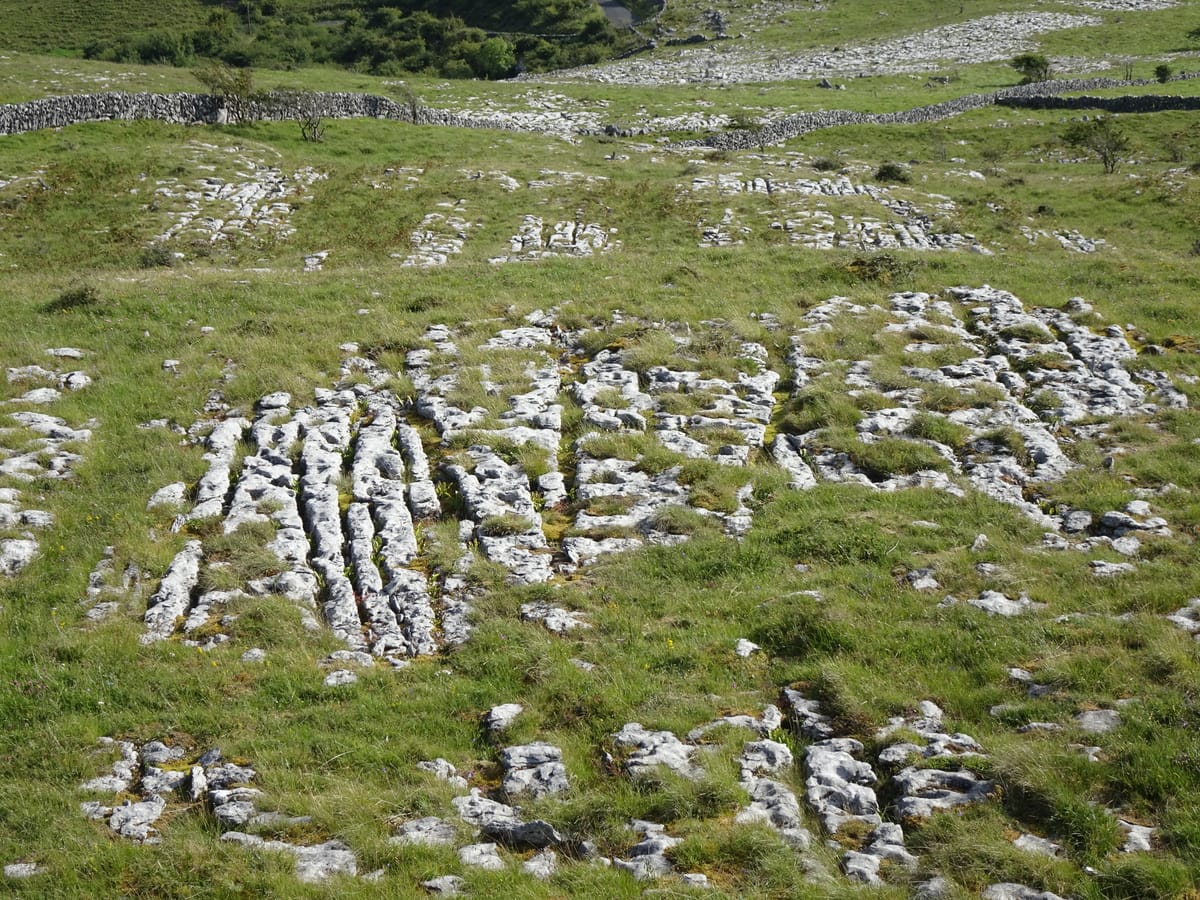Announcing the first Union AGM