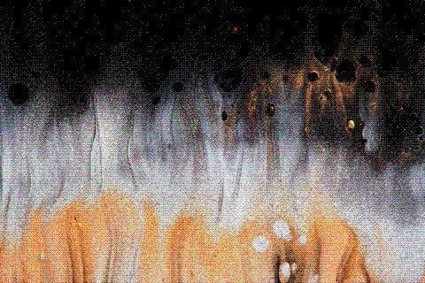 Union-Wide Gathering: Tech Justice and Practical Steps to Resist Big Tech